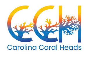 Carolinacoralheads