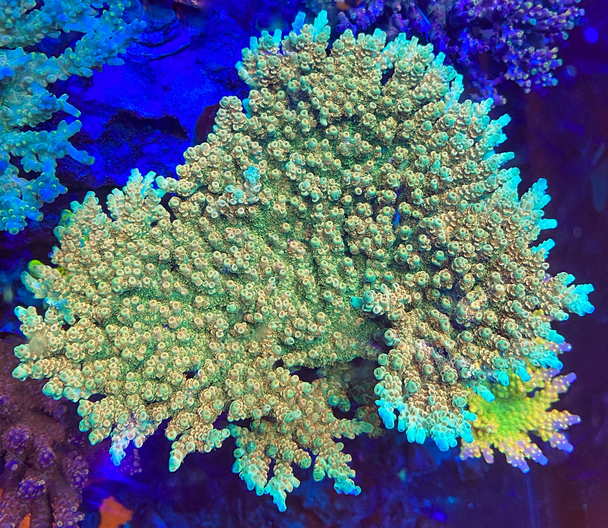 image_9c9f099d-7aa5-4bb3-b3af-